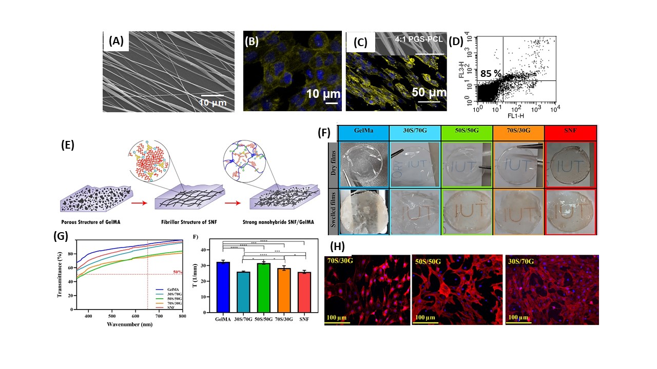 Cornea tissue engineering