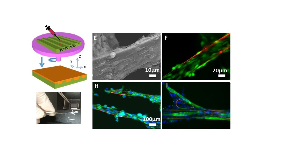 Injectable cell carriers